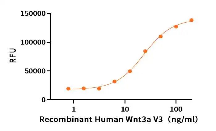 Human Wnt3a V3+Cell Based Assay.jpg